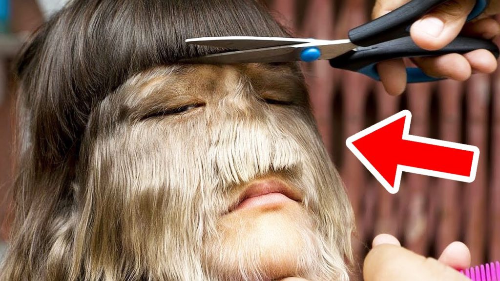 Tato dívka si celých 19 let nestříhala vlasy. To, jak vypadá teď, musíte vidět…