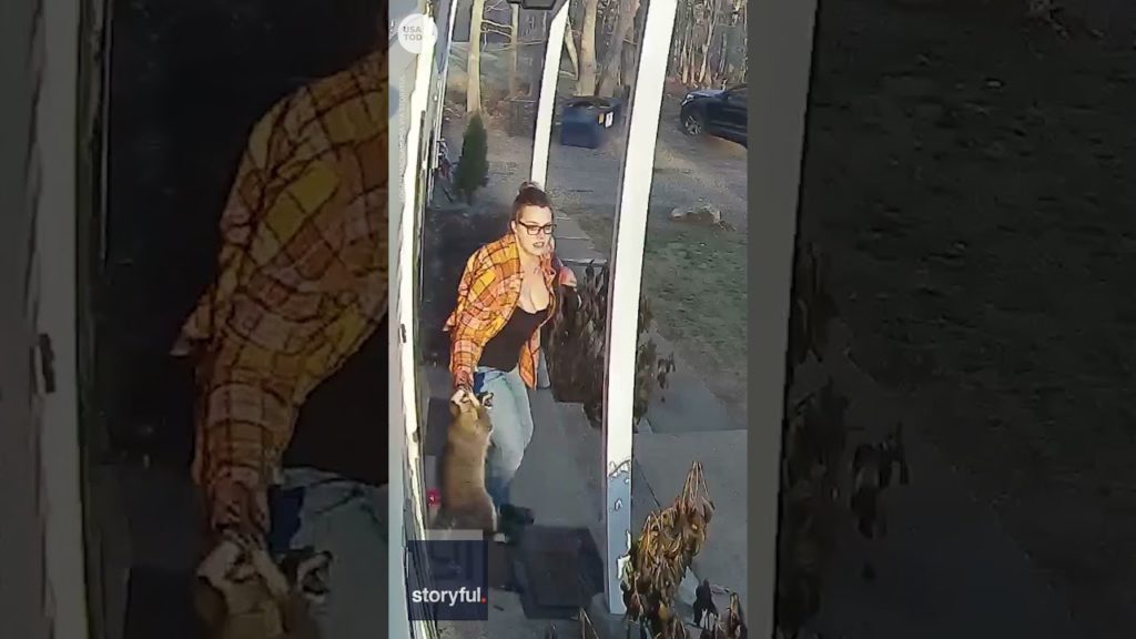 Heroic mom saves terrified five-year-old from raccoon attack | USA TODAY