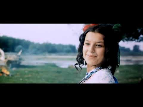 Cikáni jdou do nebe (1975)